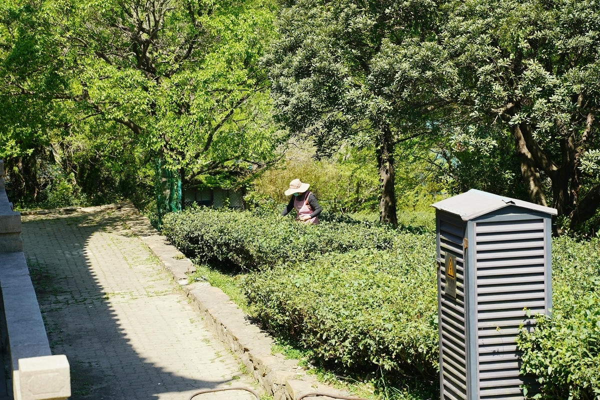 【常熟虞山劍門景區】登劍閣望江南魚米之鄉 始建宋代覺海庵藏海寺 西晉虞山城牆江南小長城 - 第7張圖 【常熟虞山劍門景區】登劍閣望江南魚米之鄉 始建宋代覺海庵藏海寺 西晉虞山城牆江南小長城