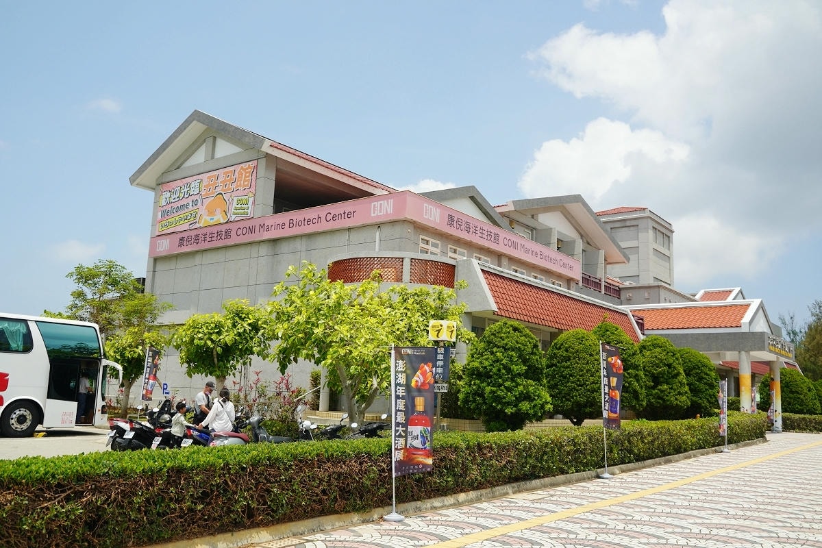 【澎湖康倪海洋生技丑丑館】澎湖免費網美景點 超可愛小丑魚海洋世界 免費兒童遊戲區