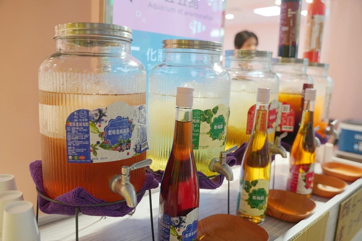 【澎湖康倪海洋生技丑丑館】澎湖免費網美景點 超可愛小丑魚海洋世界 免費兒童遊戲區