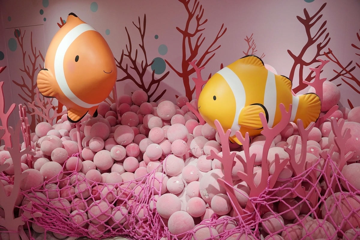 【澎湖康倪海洋生技丑丑館】澎湖免費網美景點 超可愛小丑魚海洋世界 免費兒童遊戲區