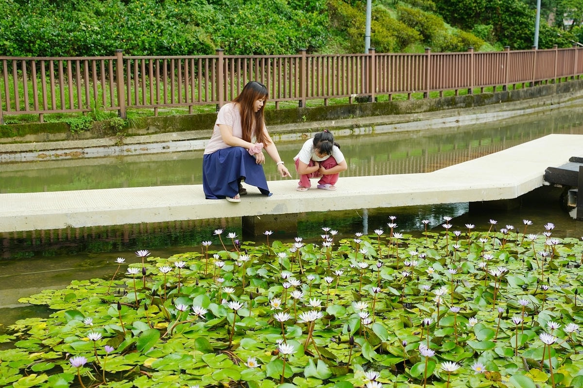 【陽明公園兒童遊樂場】桃園區最大旗艦共融式公園 全齡共融桃氣猿奇境 桃園埤塘文化生態水池