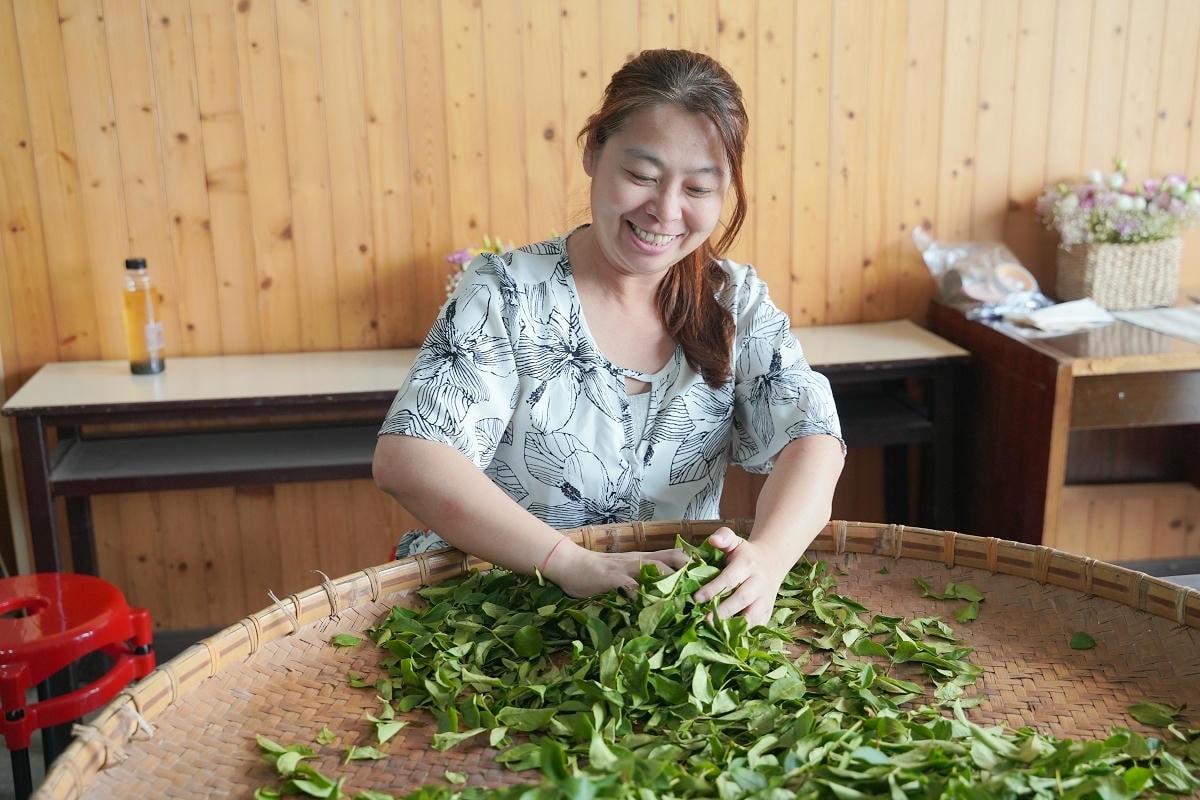 【憨慢茶來旺茶業】南投鹿谷手作DIY體驗課程 手作茶菓子/點茶茶席/手揉紅茶/茶餐餐盒體驗