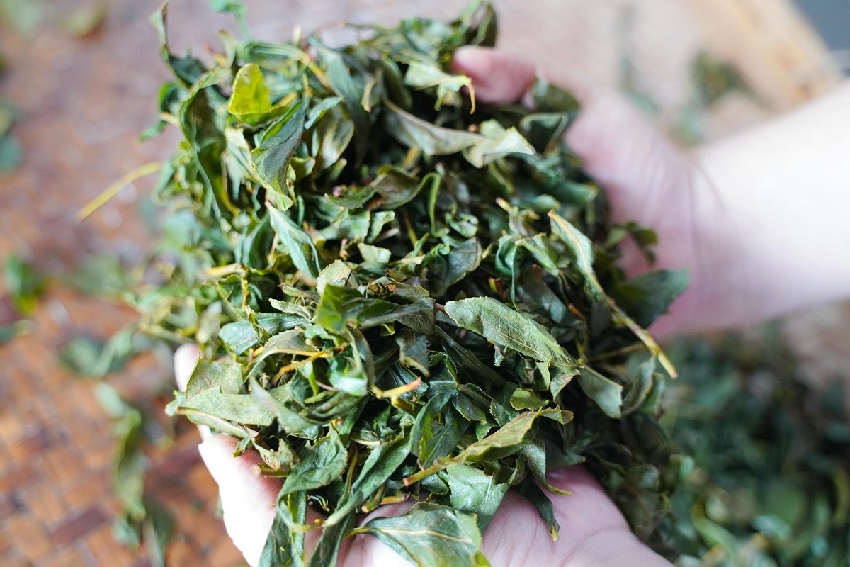 【憨慢茶來旺茶業】南投鹿谷手作DIY體驗課程 手作茶菓子/點茶茶席/手揉紅茶/茶餐餐盒體驗