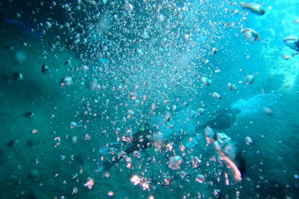 【青の洞窟屋】沖繩浮潛潛水推薦 小班教學中文隨行教練超安心 拍照餵魚豐富海洋世界小孩也能玩 - 第13張圖 【青の洞窟屋】沖繩浮潛潛水推薦 小班教學中文隨行教練超安心 拍照餵魚豐富海洋世界小孩也能玩