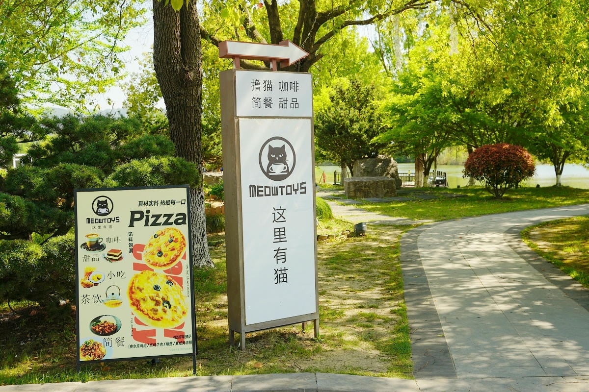 【常熟尚湖風景區】中國首批國家城市濕地公園 弦歌漁樂太公垂釣 竹筏穿行水上森林賞鳥絕佳之地