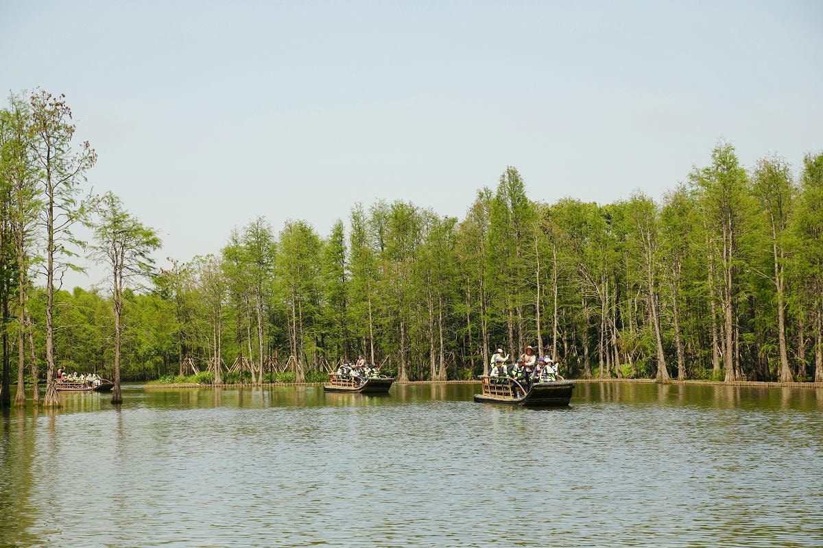 【常熟尚湖風景區】中國首批國家城市濕地公園 弦歌漁樂太公垂釣 竹筏穿行水上森林賞鳥絕佳之地