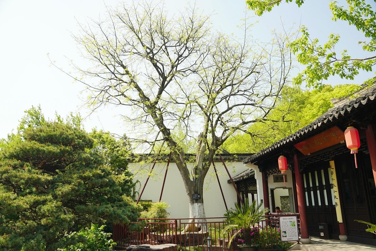 【常熟曾趙園】晚清著名小說家曾朴故居「曾園」明萬曆小輞川遺址「趙園」江南著名古典園林建築