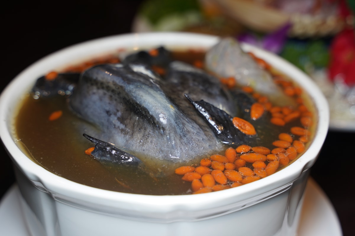 【一葉 台灣菜/私房菜】中壢高CP值台式料理新開幕 家庭聚餐商務聚會推薦 近中正公園好停車