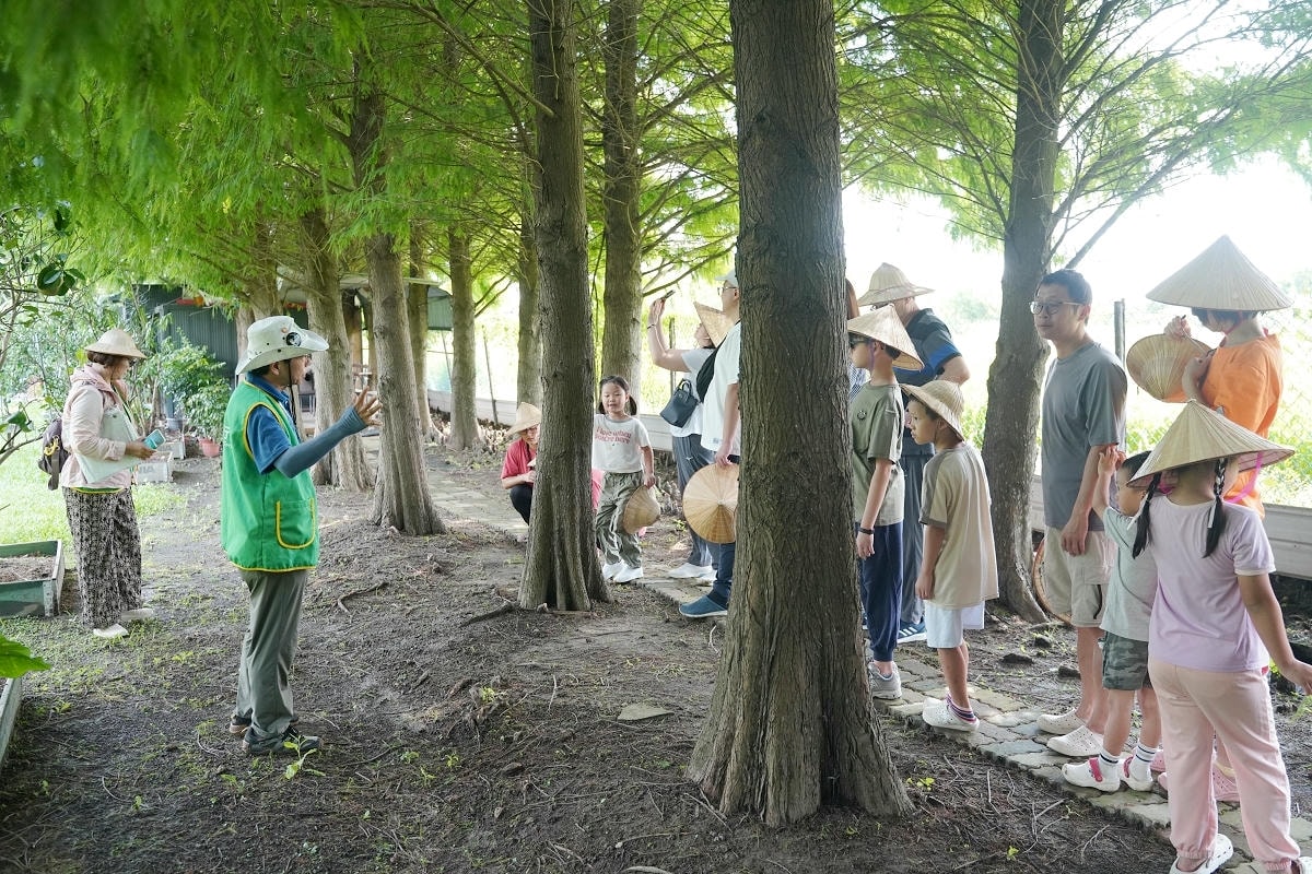 【自然行動】蓮子採收獨角仙生態體驗營 埔頂農村生活體驗園區 桃園農事體驗/親子生態教育推薦 - 第11張圖 【自然行動】蓮子採收獨角仙生態體驗營 埔頂農村生活體驗園區 桃園農事體驗/親子生態教育推薦