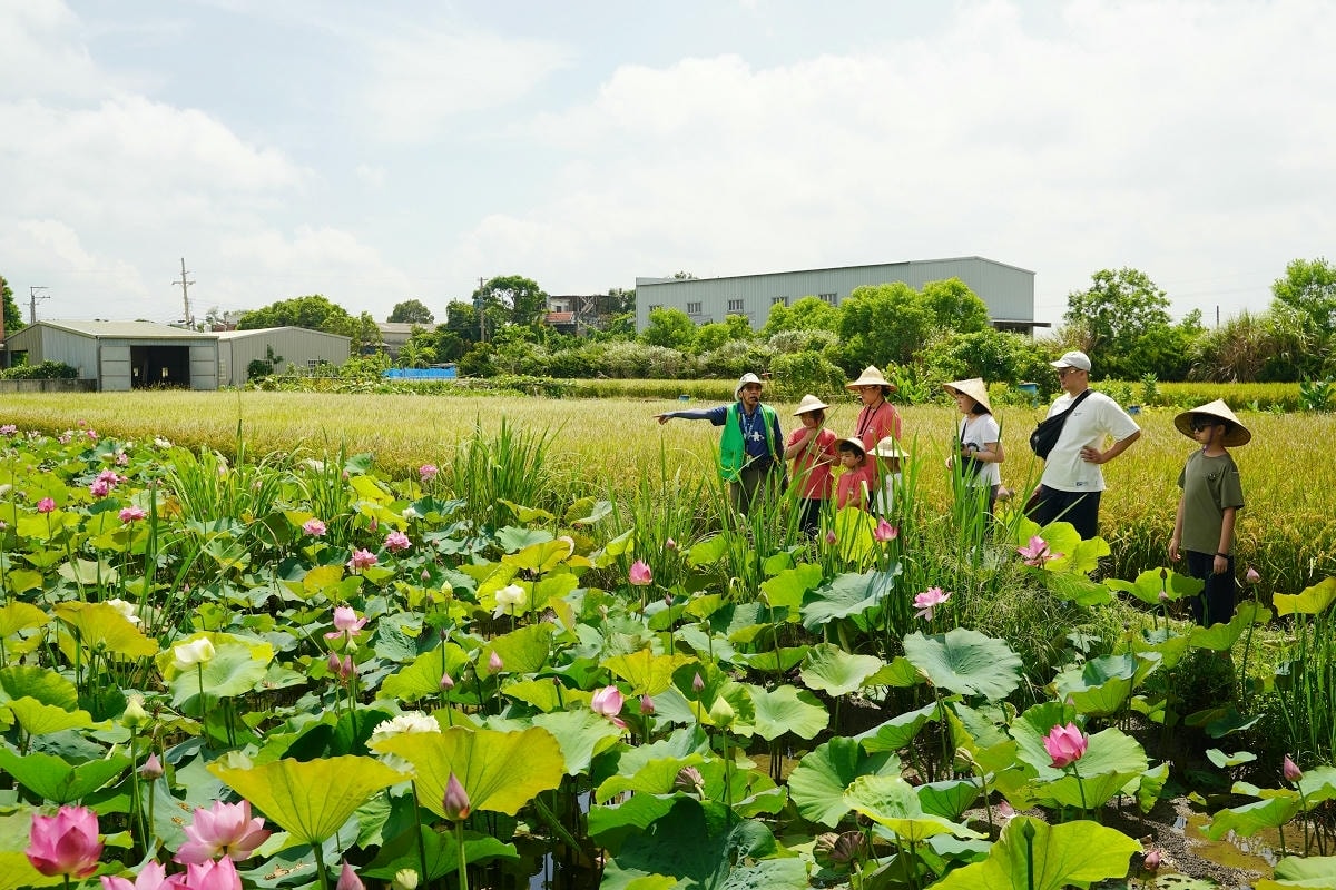 【自然行動】蓮子採收獨角仙生態體驗營 埔頂農村生活體驗園區 桃園農事體驗/親子生態教育推薦 - 第12張圖 【自然行動】蓮子採收獨角仙生態體驗營 埔頂農村生活體驗園區 桃園農事體驗/親子生態教育推薦