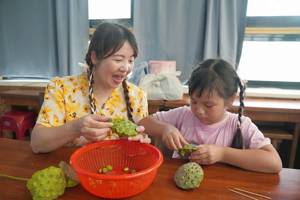 【自然行動】蓮子採收獨角仙生態體驗營 埔頂農村生活體驗園區 桃園農事體驗/親子生態教育推薦 - 第17張圖 【自然行動】蓮子採收獨角仙生態體驗營 埔頂農村生活體驗園區 桃園農事體驗/親子生態教育推薦