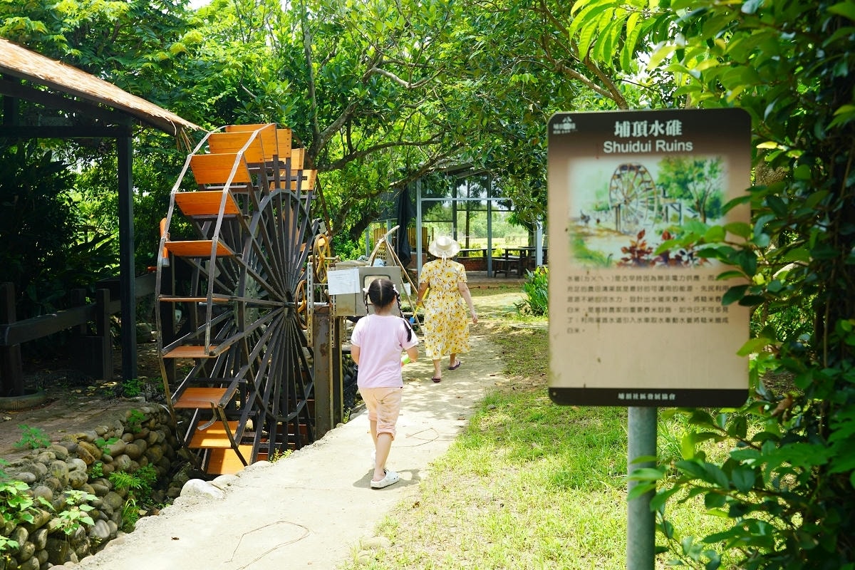【自然行動】蓮子採收獨角仙生態體驗營 埔頂農村生活體驗園區 桃園農事體驗/親子生態教育推薦 - 第20張圖 【自然行動】蓮子採收獨角仙生態體驗營 埔頂農村生活體驗園區 桃園農事體驗/親子生態教育推薦