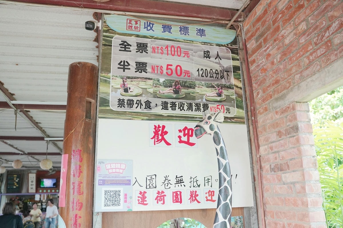 【蓮荷園休閒農場】夏日限定大王蓮水上漂 唯美蓮池盪鞦韆自然景觀藝術 稻草按摩棒DIY體驗