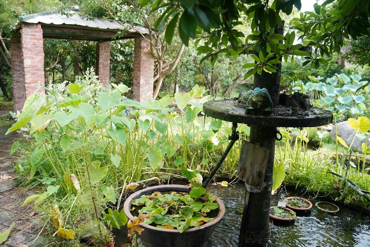 【蓮荷園休閒農場】夏日限定大王蓮水上漂 唯美蓮池盪鞦韆自然景觀藝術 稻草按摩棒DIY體驗