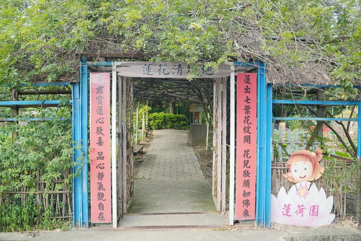 【蓮荷園休閒農場】夏日限定大王蓮水上漂 唯美蓮池盪鞦韆自然景觀藝術 稻草按摩棒DIY體驗
