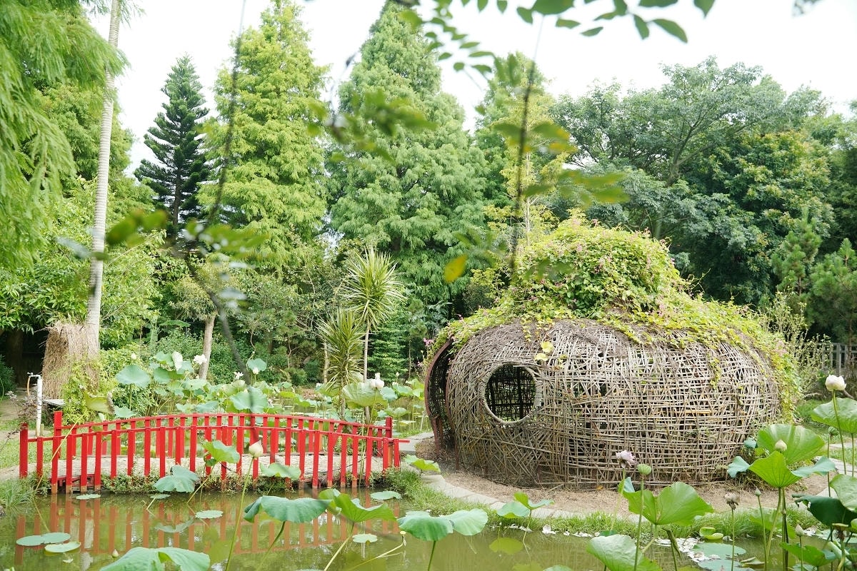 【蓮荷園休閒農場】夏日限定大王蓮水上漂 唯美蓮池盪鞦韆自然景觀藝術 稻草按摩棒DIY體驗