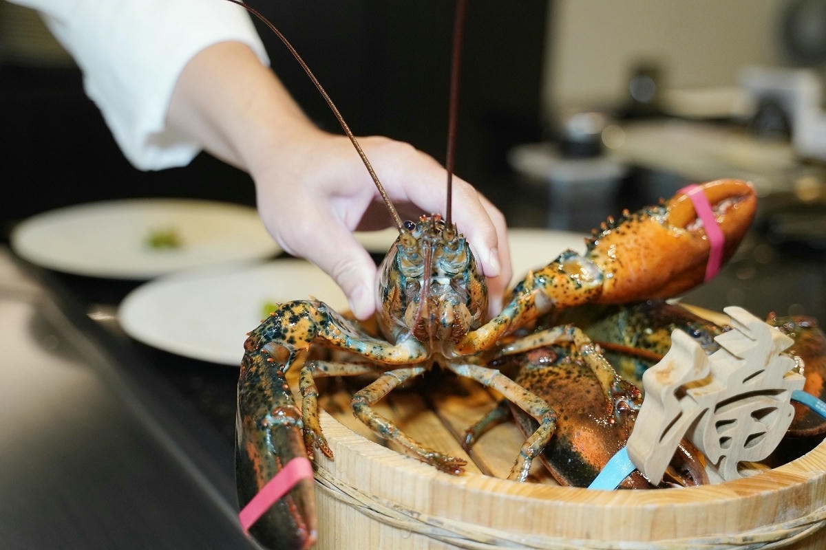【滝鐵板燒】林口高品質鐵板燒推薦 全鐵板料理精緻餐點 2080就吃得到日本A5和牛活體龍蝦