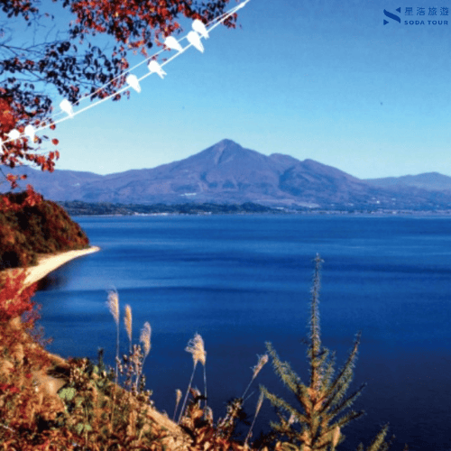 【星浩旅行社】日本賞楓主題行程推薦 奧入瀨溪賞楓之旅 溫泉/料理/絕景/酒水暢飲 全程無自理餐 - 第9張圖 【星浩旅行社】日本賞楓主題行程推薦 奧入瀨溪賞楓之旅 溫泉/料理/絕景/酒水暢飲 全程無自理餐