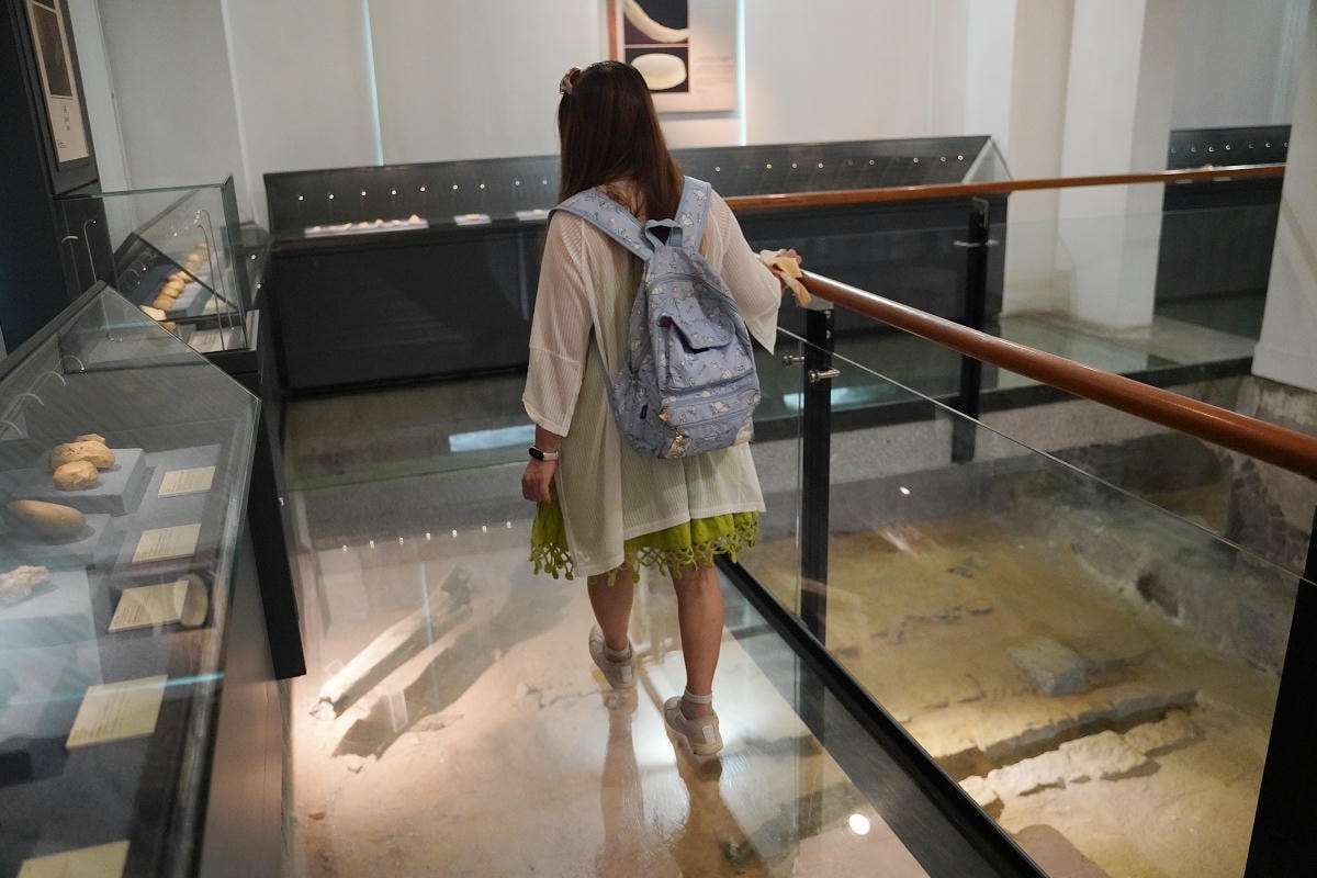【路氹歷史館】始建於1920年海島市政廳大樓 20世紀新古典建築風格 澳門免費室內景點推薦