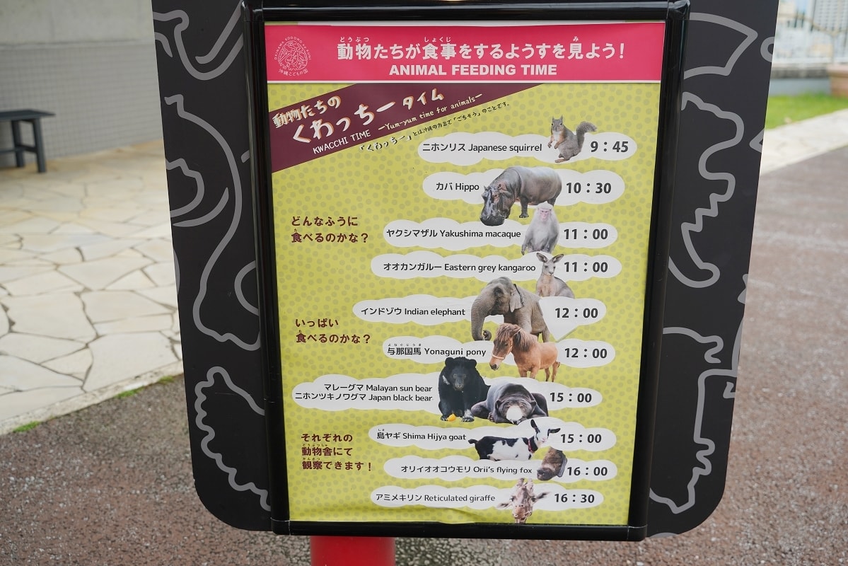【沖繩兒童王國】沖繩親子景點首選 動物園/遊樂園/博物館三大主題 沖繩唯一兒童博物館 - 第7張圖 【沖繩兒童王國】沖繩親子景點首選 動物園/遊樂園/博物館三大主題 沖繩唯一兒童博物館