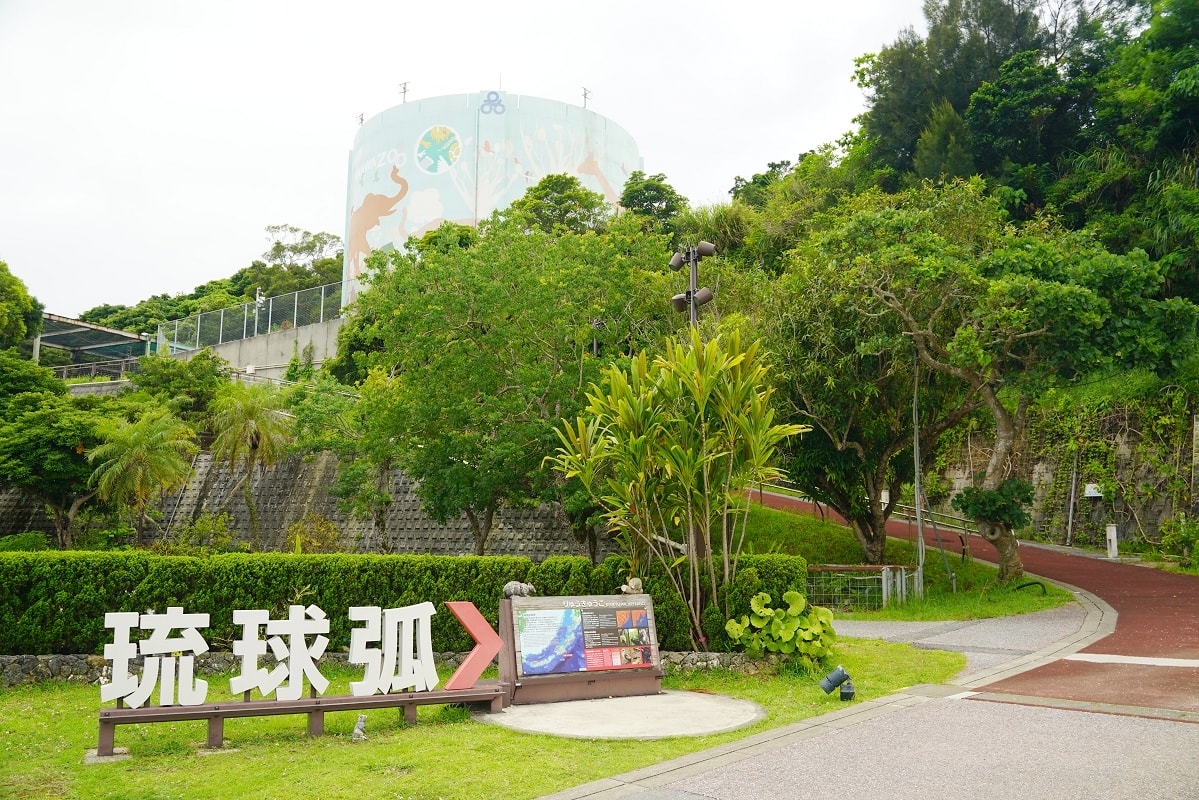 【沖繩兒童王國】沖繩親子景點首選 動物園/遊樂園/博物館三大主題 沖繩唯一兒童博物館 - 第10張圖 【沖繩兒童王國】沖繩親子景點首選 動物園/遊樂園/博物館三大主題 沖繩唯一兒童博物館
