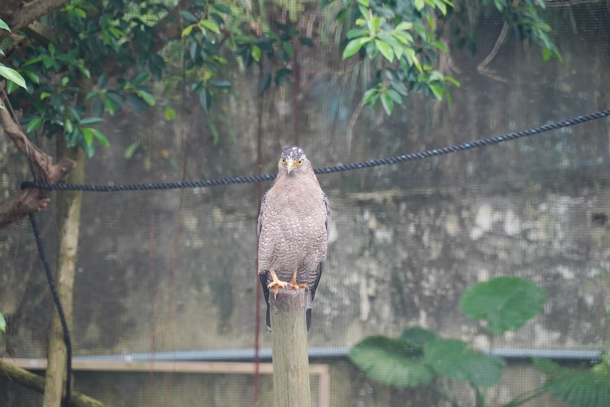 【沖繩兒童王國】沖繩親子景點首選 動物園/遊樂園/博物館三大主題 沖繩唯一兒童博物館 - 第12張圖 【沖繩兒童王國】沖繩親子景點首選 動物園/遊樂園/博物館三大主題 沖繩唯一兒童博物館