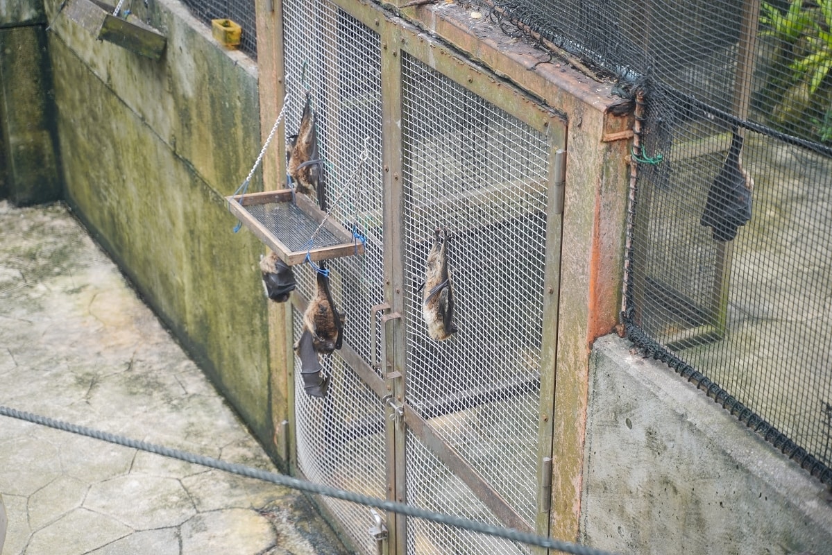 【沖繩兒童王國】沖繩親子景點首選 動物園/遊樂園/博物館三大主題 沖繩唯一兒童博物館 - 第13張圖 【沖繩兒童王國】沖繩親子景點首選 動物園/遊樂園/博物館三大主題 沖繩唯一兒童博物館