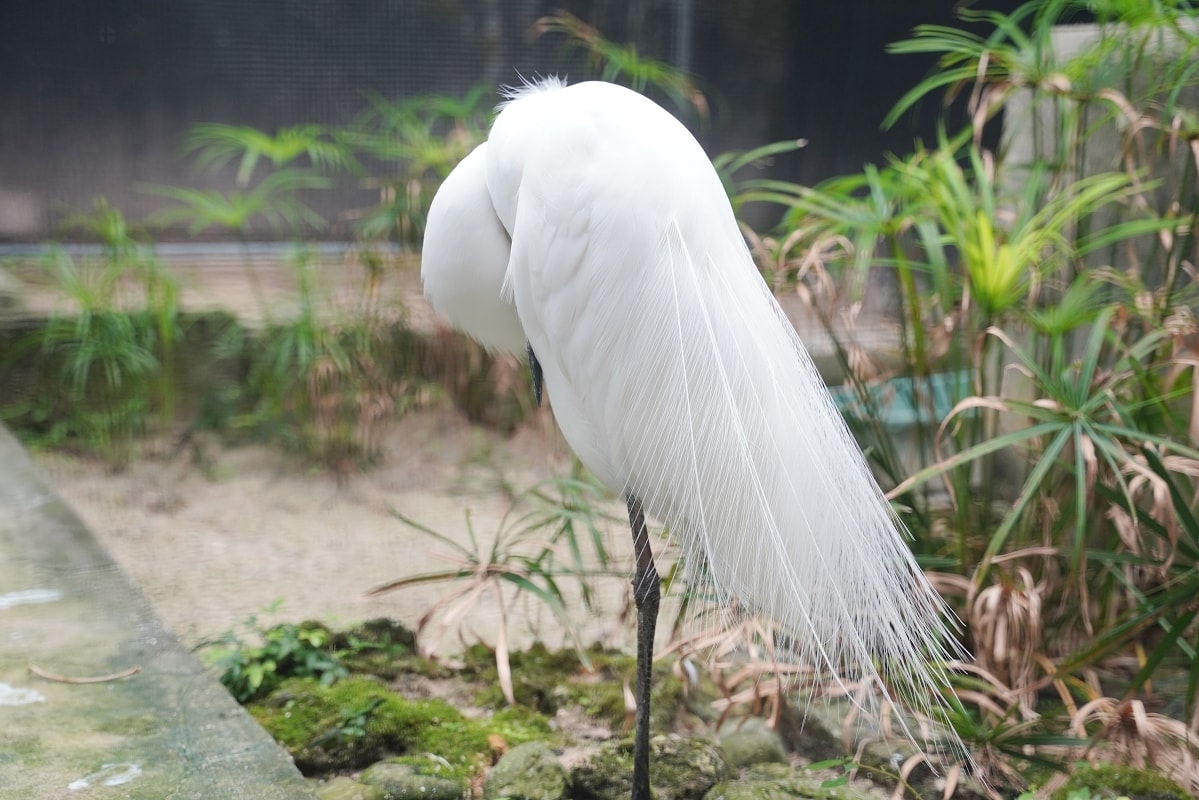 【沖繩兒童王國】沖繩親子景點首選 動物園/遊樂園/博物館三大主題 沖繩唯一兒童博物館 - 第14張圖 【沖繩兒童王國】沖繩親子景點首選 動物園/遊樂園/博物館三大主題 沖繩唯一兒童博物館