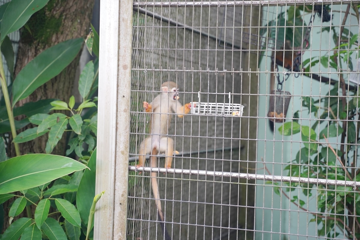 【沖繩兒童王國】沖繩親子景點首選 動物園/遊樂園/博物館三大主題 沖繩唯一兒童博物館 - 第16張圖 【沖繩兒童王國】沖繩親子景點首選 動物園/遊樂園/博物館三大主題 沖繩唯一兒童博物館