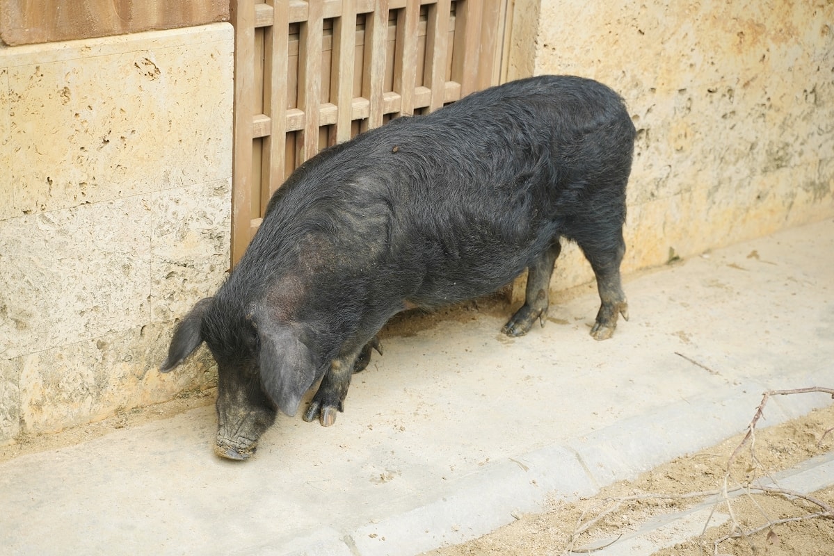 【沖繩兒童王國】沖繩親子景點首選 動物園/遊樂園/博物館三大主題 沖繩唯一兒童博物館 - 第17張圖 【沖繩兒童王國】沖繩親子景點首選 動物園/遊樂園/博物館三大主題 沖繩唯一兒童博物館