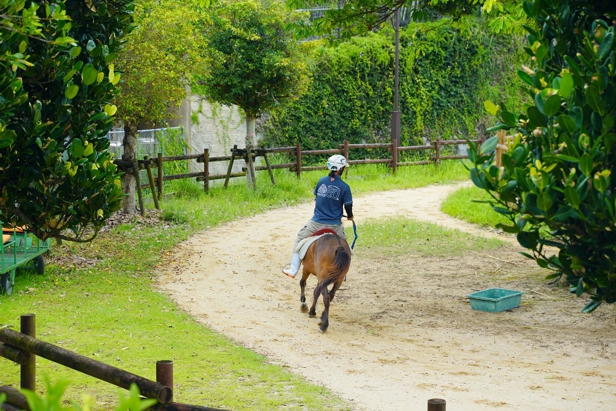 【沖繩兒童王國】沖繩親子景點首選 動物園/遊樂園/博物館三大主題 沖繩唯一兒童博物館 - 第19張圖 【沖繩兒童王國】沖繩親子景點首選 動物園/遊樂園/博物館三大主題 沖繩唯一兒童博物館