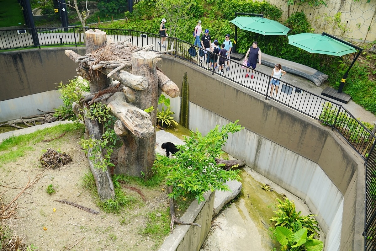 【沖繩兒童王國】沖繩親子景點首選 動物園/遊樂園/博物館三大主題 沖繩唯一兒童博物館 - 第21張圖 【沖繩兒童王國】沖繩親子景點首選 動物園/遊樂園/博物館三大主題 沖繩唯一兒童博物館