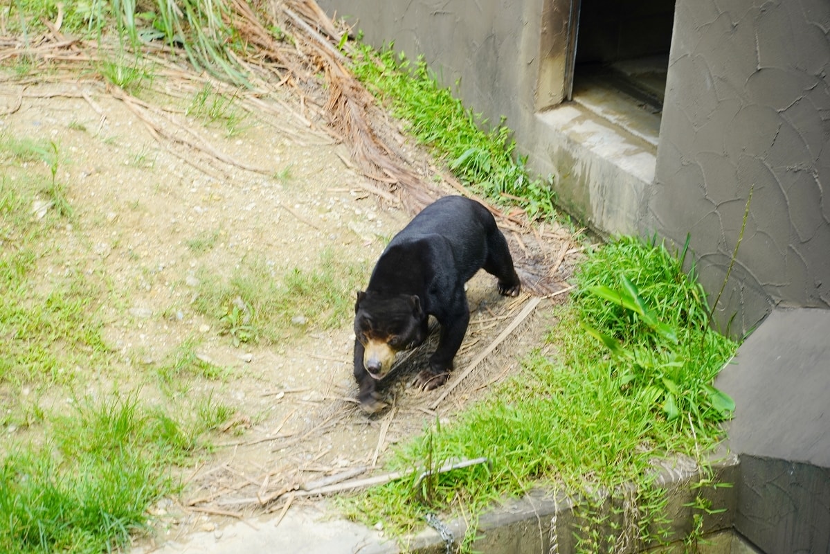 【沖繩兒童王國】沖繩親子景點首選 動物園/遊樂園/博物館三大主題 沖繩唯一兒童博物館 - 第23張圖 【沖繩兒童王國】沖繩親子景點首選 動物園/遊樂園/博物館三大主題 沖繩唯一兒童博物館