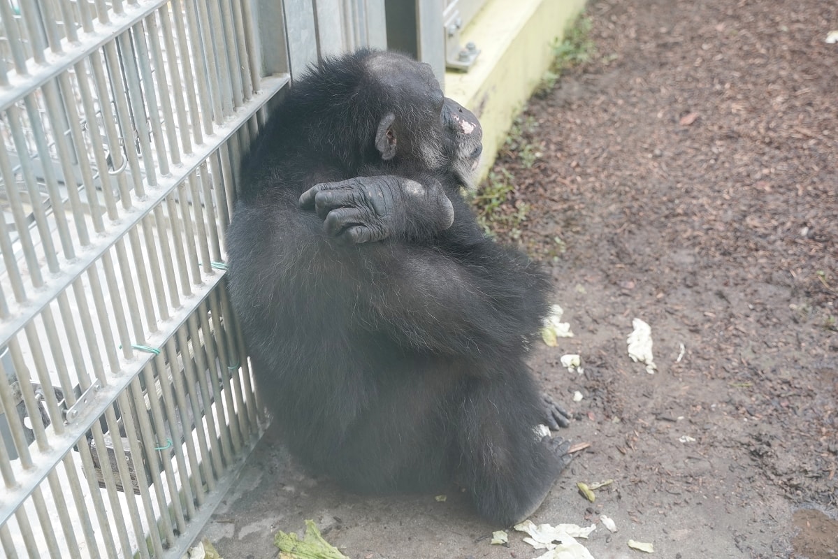 【沖繩兒童王國】沖繩親子景點首選 動物園/遊樂園/博物館三大主題 沖繩唯一兒童博物館