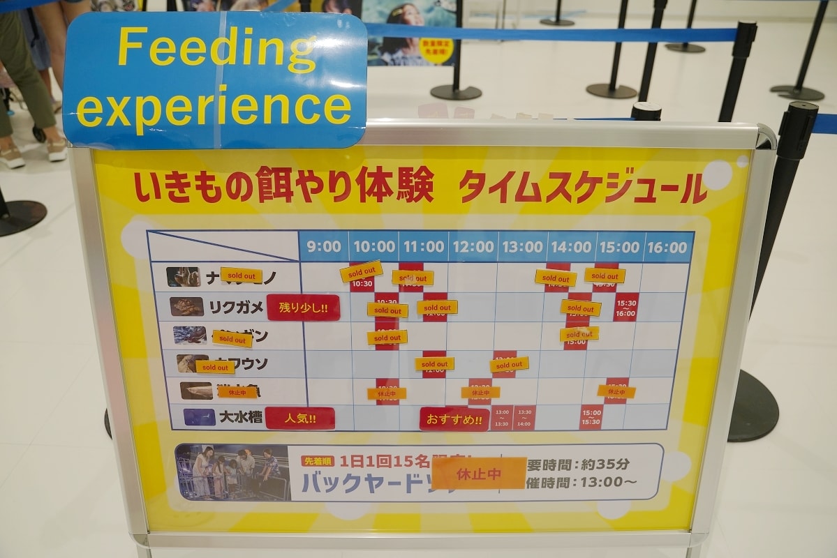 【DMM Kariyushi水族館】沖繩室內親子景點首選 餵食動物互動超好玩 近那霸機場