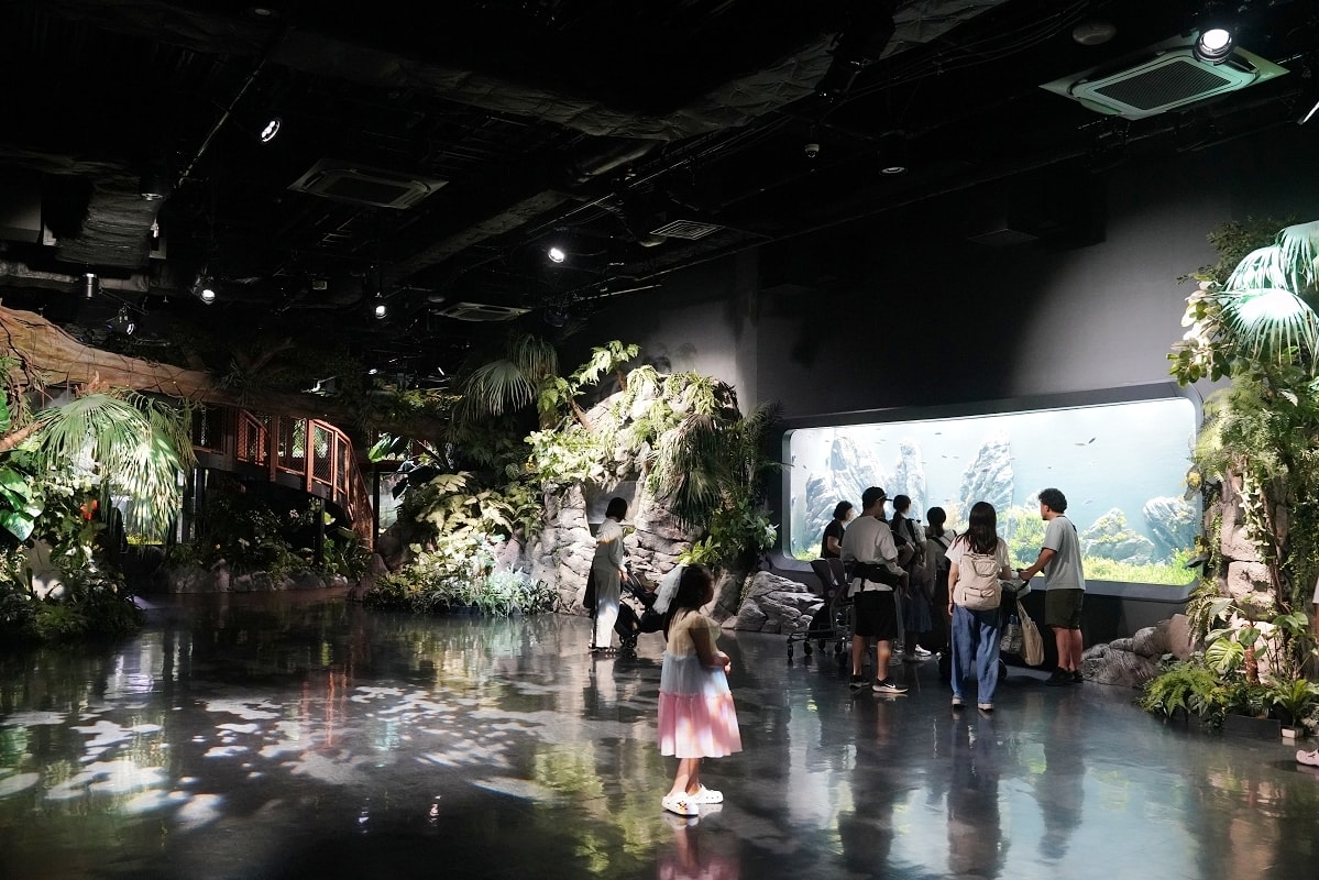 【DMM Kariyushi水族館】沖繩室內親子景點首選 餵食動物互動超好玩 近那霸機場