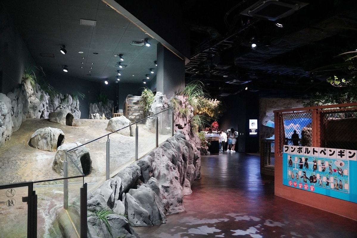 【DMM Kariyushi水族館】沖繩室內親子景點首選 餵食動物互動超好玩 近那霸機場