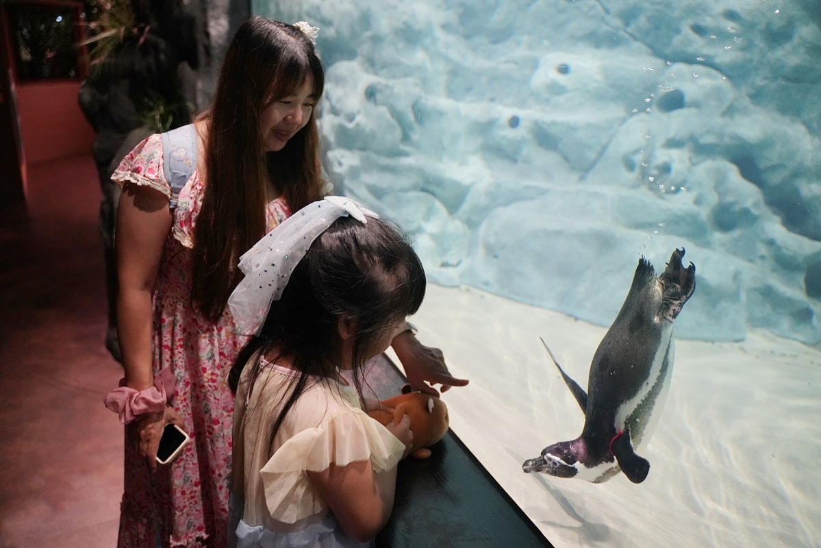 【DMM Kariyushi水族館】沖繩室內親子景點首選 餵食動物互動超好玩 近那霸機場