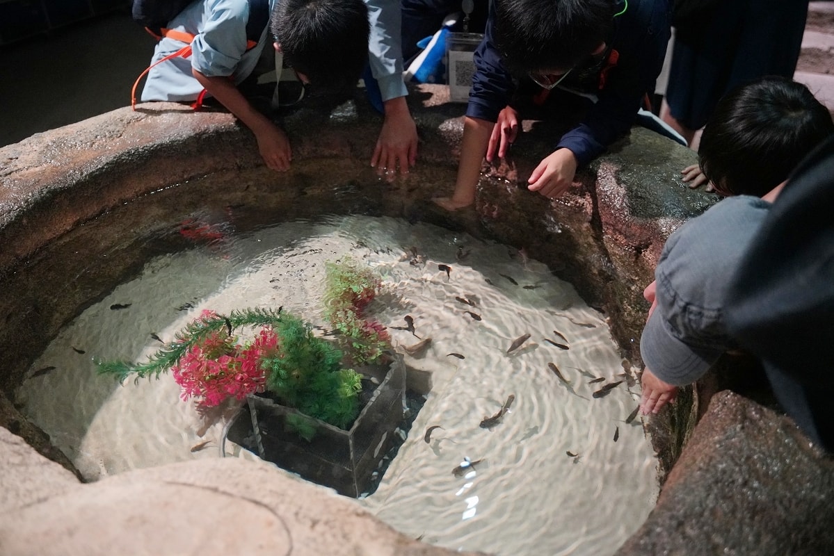 【DMM Kariyushi水族館】沖繩室內親子景點首選 餵食動物互動超好玩 近那霸機場