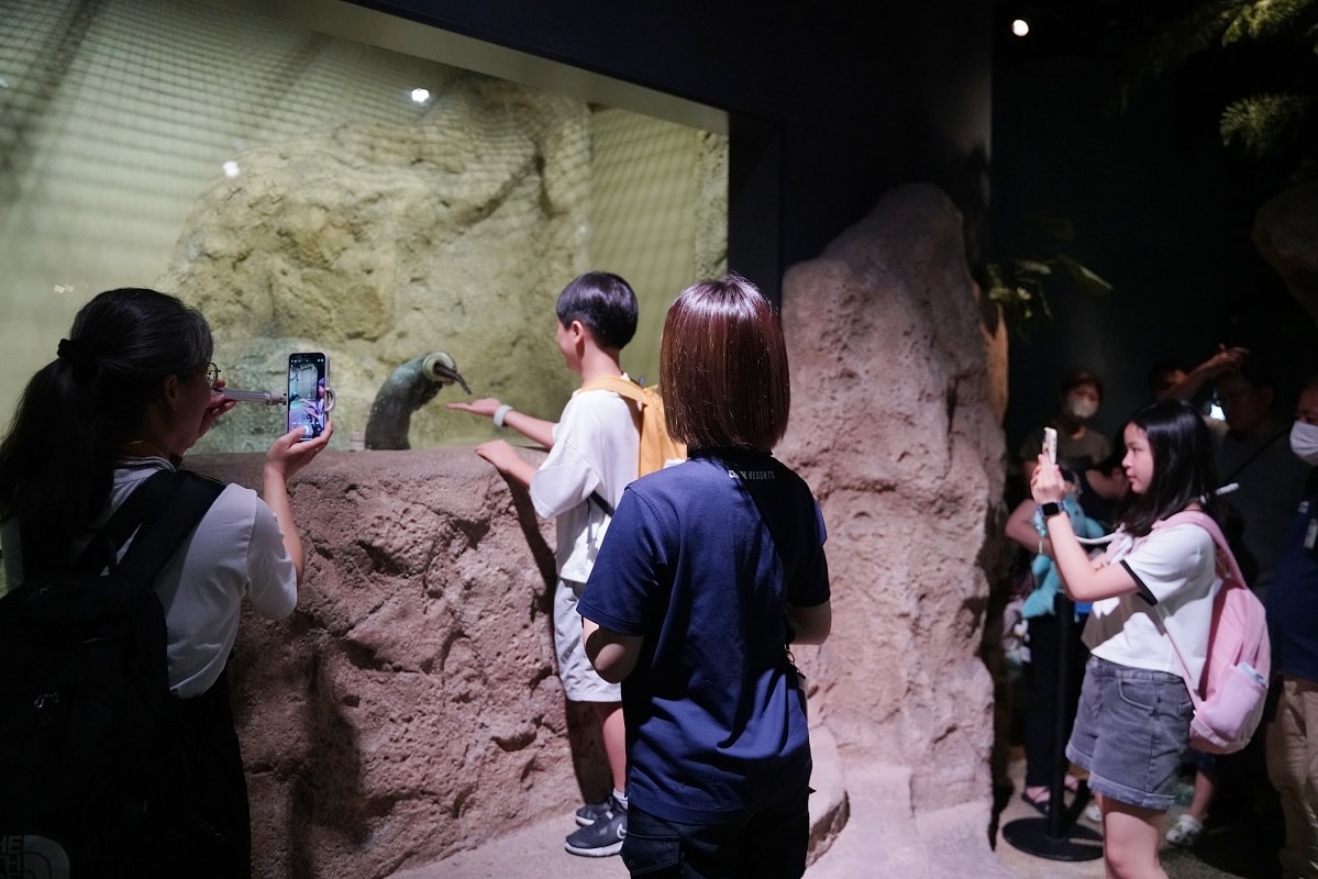 【DMM Kariyushi水族館】沖繩室內親子景點首選 餵食動物互動超好玩 近那霸機場