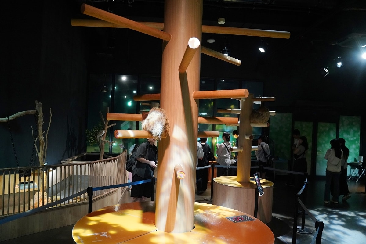 【DMM Kariyushi水族館】沖繩室內親子景點首選 餵食動物互動超好玩 近那霸機場