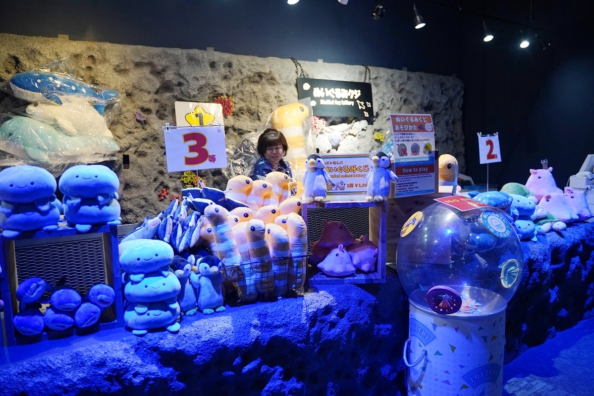 【DMM Kariyushi水族館】沖繩室內親子景點首選 餵食動物互動超好玩 近那霸機場
