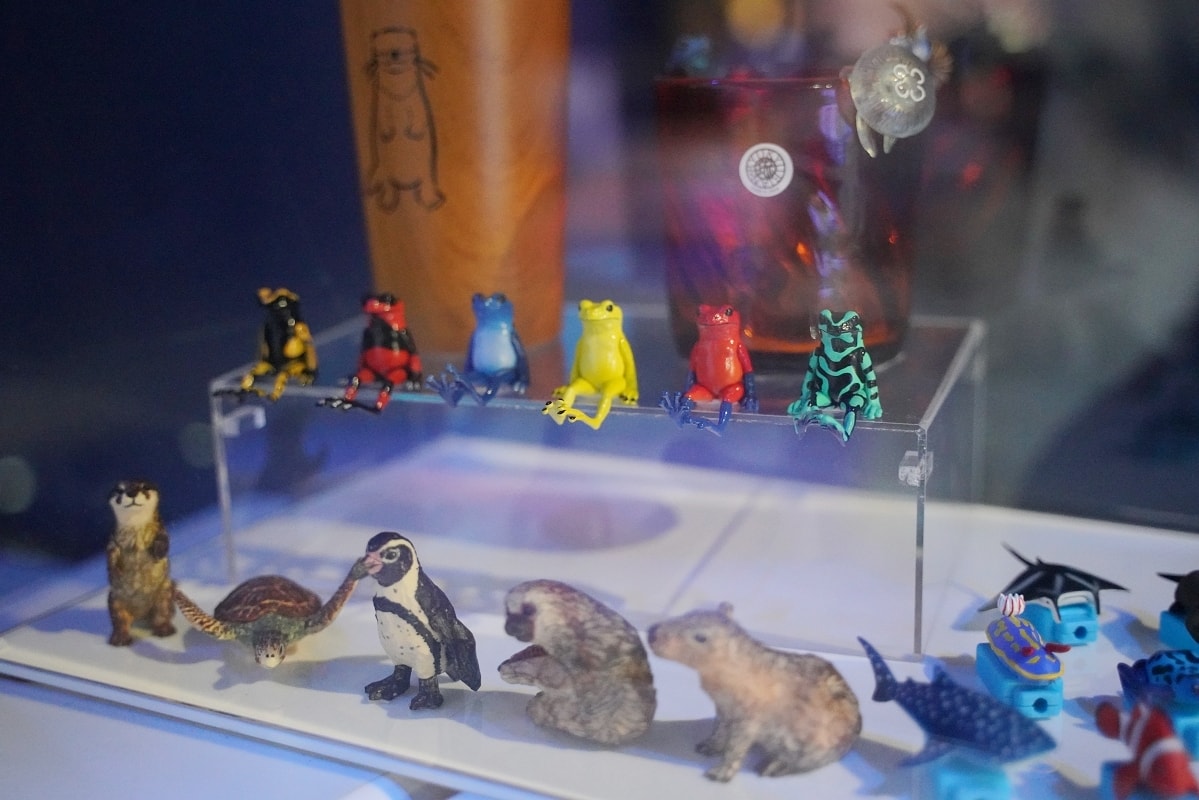 【DMM Kariyushi水族館】沖繩室內親子景點首選 餵食動物互動超好玩 近那霸機場