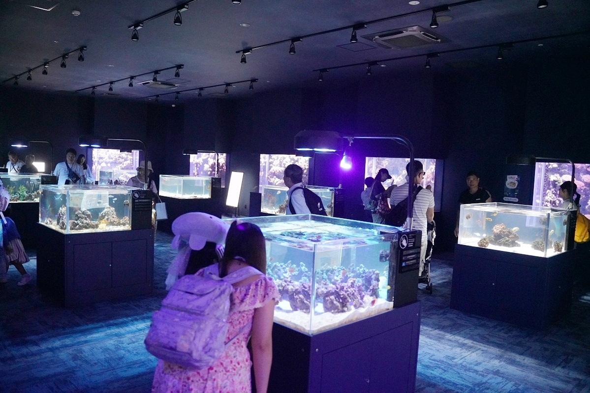 【DMM Kariyushi水族館】沖繩室內親子景點首選 餵食動物互動超好玩 近那霸機場