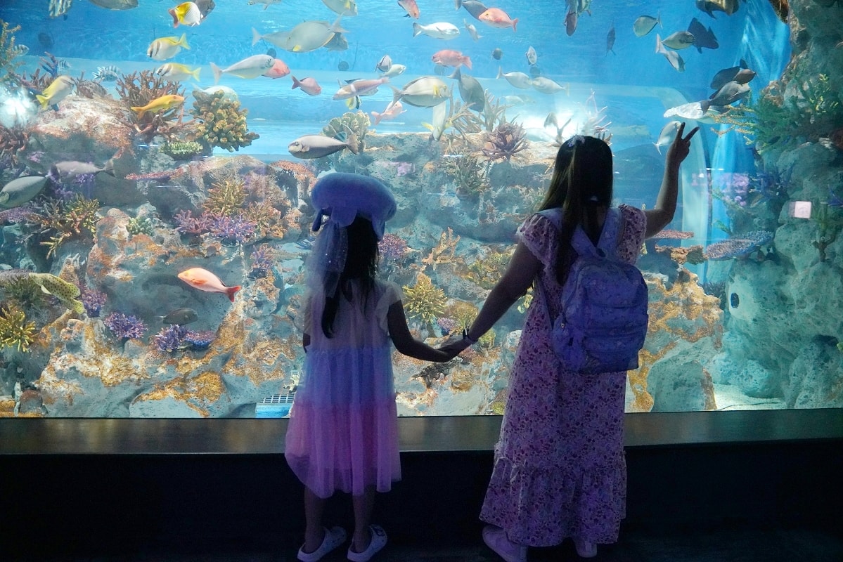 【DMM Kariyushi水族館】沖繩室內親子景點首選 餵食動物互動超好玩 近那霸機場