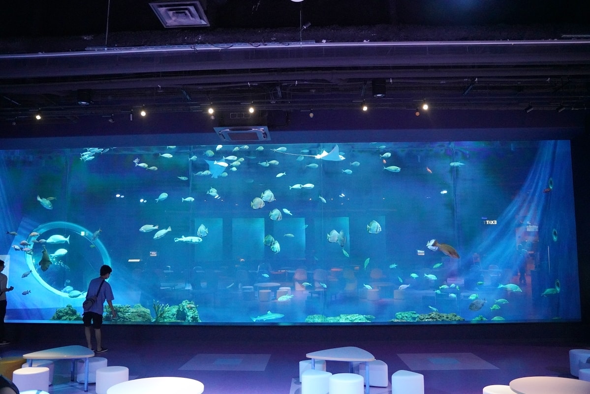 【DMM Kariyushi水族館】沖繩室內親子景點首選 餵食動物互動超好玩 近那霸機場