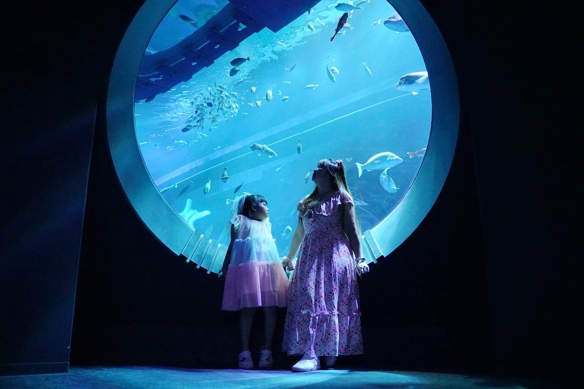 【DMM Kariyushi水族館】沖繩室內親子景點首選 餵食動物互動超好玩 近那霸機場