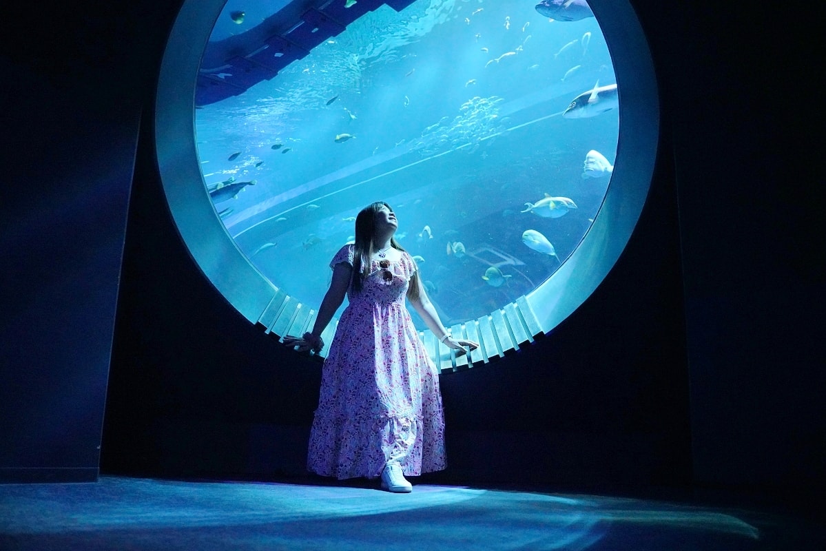 【DMM Kariyushi水族館】沖繩室內親子景點首選 餵食動物互動超好玩 近那霸機場