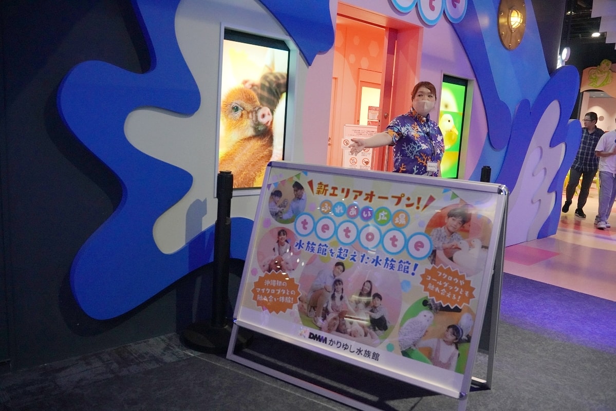 【DMM Kariyushi水族館】沖繩室內親子景點首選 餵食動物互動超好玩 近那霸機場