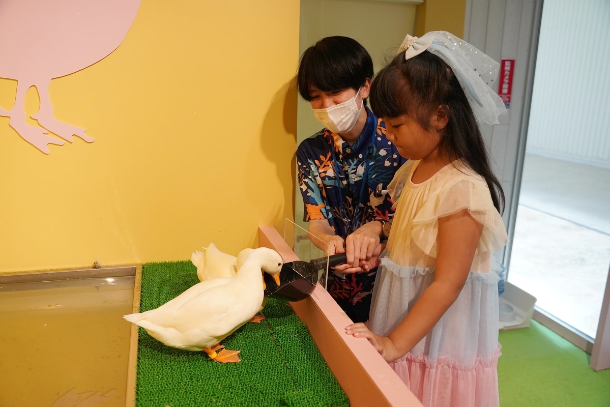 【DMM Kariyushi水族館】沖繩室內親子景點首選 餵食動物互動超好玩 近那霸機場